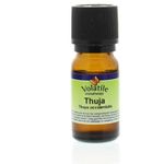 Volatile Thuja (10ml) 10ml thumb