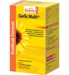 Bloem Garlic multi+ (100ca) 100ca thumb