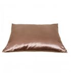 Beauty Pillow Taupe 60 x 70 (1ST) 1ST thumb