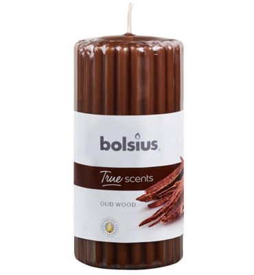 Bolsius True Scents stompkaars geur 120/58 old wood (1st) 1st