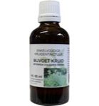 Natura Sanat Artemisia vulgaris herb/bijvoet tinctuur bio (50ml) 50ml thumb
