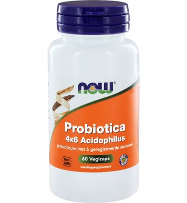 Now Biotica 4x6 vh probiotica (60vc) 60vc