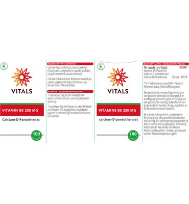 Vitals Vitamine B5 250 mg (100ca) 100ca