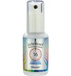 Lichtwesen Hilarion tinctuur 16 (30ml) 30ml thumb