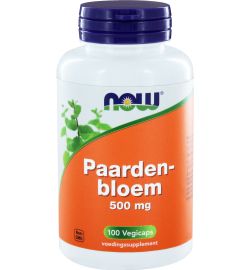 Now Now Paardenbloem 500 mg (100vc)