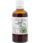 Natura Sanat Thymus vulgaris herb / tijm tinctuur (50ml) 50ml thumb