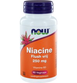 Now Now Niacine flush vrij 250 mg (90ca)
