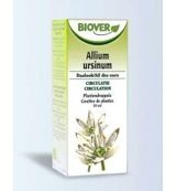 Biover Allium ursinum tinctuur bio (50ml) 50ml