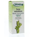 Biover Fucus vesiculosus tinctuur (50ml) 50ml thumb