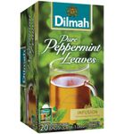 Dilmah Pure pepermunt gezondheid (20ST) 20ST thumb