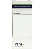VSM Silicea LM1 (4g) 4g