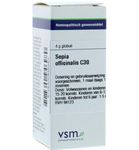VSM Sepia officinalis C30 (4g) 4g thumb
