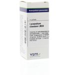 VSM Lycopodium clavatum LM30 (4g) 4g thumb