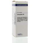 VSM Colocynthis D6 (20ml) 20ml thumb
