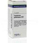 VSM Eupatorium perfoliatum D30 (10g) 10g thumb