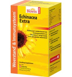 Bloem Bloem Echinacea (60ca)