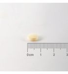 Lamberts Vitamine B11 400mcg (foliumzuur) (100tb) 100tb thumb