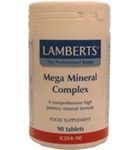 Lamberts Mega mineral complex (90tb) 90tb thumb