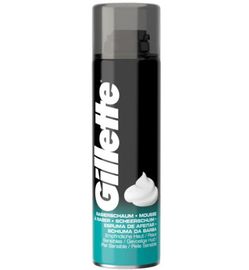 Gillette Gillette Basic schuim gevoelige huid (200ml)