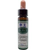 Ainsworths Ainsworths Recovery remedy (10ml)