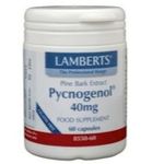 Lamberts Pijnboombast extract (Pycnogenol 40mg) (60vc) 60vc thumb