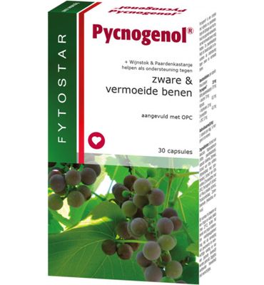 Fytostar Pycnogenol (30st) 30st