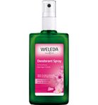 Weleda Wilde rozen 24h deodorant (100ml) 100ml thumb