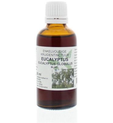 Natura Sanat Eucalyptus globulus folia tinctuur (50ml) 50ml