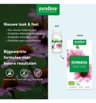 Purasana Echinacea vegan bio (120vc) 120vc thumb