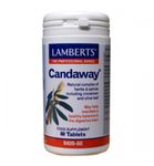 Lamberts Candaway (60tb) 60tb thumb