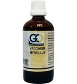 Go Vaccinium myrtillus bio (100ml) 100ml