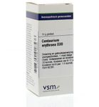 VSM Centaurium erythraea D30 (10g) 10g thumb
