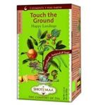 Shoti Maa Earth touch the ground bio (16st) 16st thumb