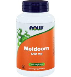 Now Now Meidoorn 540 mg (100vc)