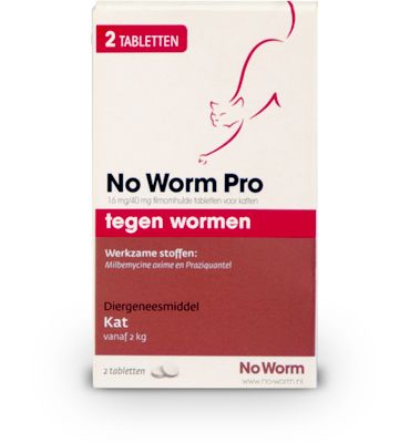 No Worm No worm pro kat (2tb) 2tb