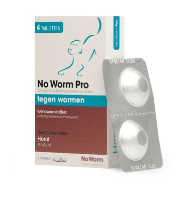 No Worm No worm pro hond L (4tb) 4tb