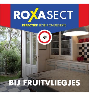 Roxasect Fruitvliegjes (1st) 1st