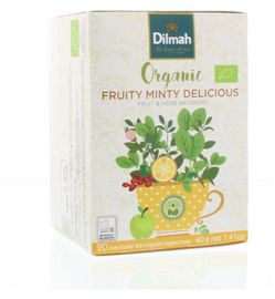Dilmah Dilmah Fruity minty delicious bio (20st)