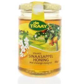 De Traay De Traay Sinaasappel honing (350g)