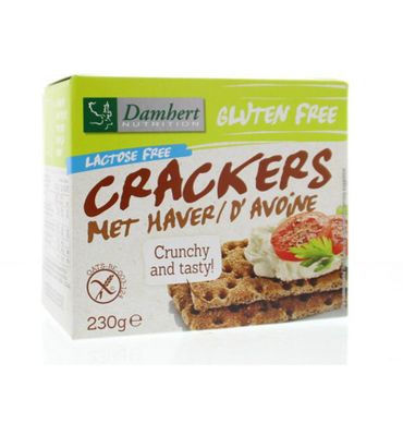 Damhert Crackers haver (230g) 230g