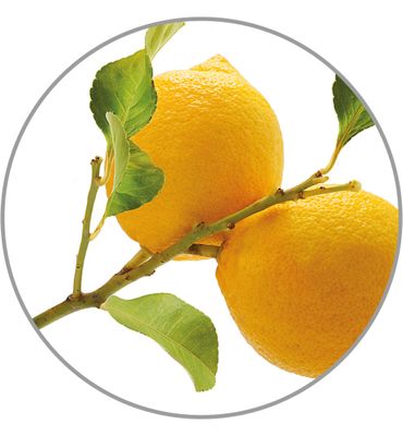 Medisana Aroma essence citroen (10ml) 10ml