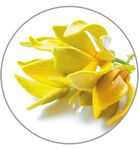 Medisana Aroma essence ylang ylang (10ml) 10ml thumb