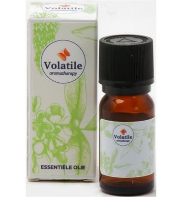 Volatile Lavendel berg bio (5ml) 5ml