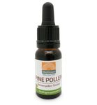 Mattisson Healthstyle Pine pollen dennenpollen tinctuur (10ml) 10ml thumb