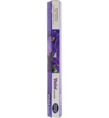 Nature's Incense Wierook viooltje (20st) 20st