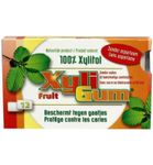 Xyligum Fruit (12st) 12st thumb