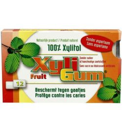 Xyligum Xyligum Fruit (12st)