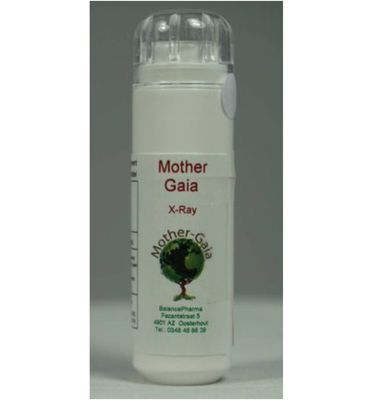 Mother Gaia Chakra & spirit 01 X-ray (6g) 6g