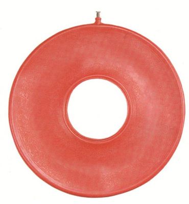 Able 2 Ringkussen opblaasbaar rubber 41cm (1st) 1st