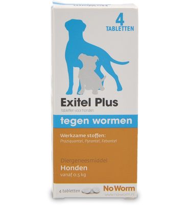 No Worm No worm hond medium (4tb) 4tb